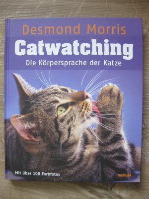 Catwatching - Die Körpersprache der Katze