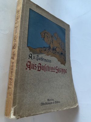 antiquarisches Buch – Adolf von Tiedemann – Aus Busch und Steppe. Afrikanische Expeditionsgeschichten. Mit 57 Textillustrationen von R. Hellgrewe.
