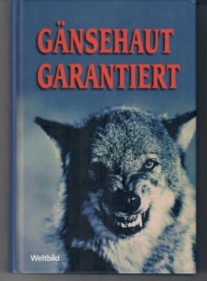 gebrauchtes Buch – Johannes Thiele – Gänsehaut garantiert