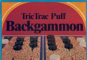 gebrauchtes Spiel – Backgammon