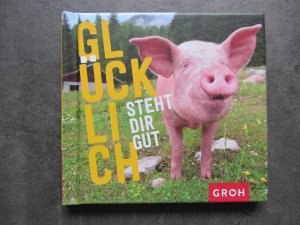 gebrauchtes Buch – Joachim Groh – Glücklich steht dir gut