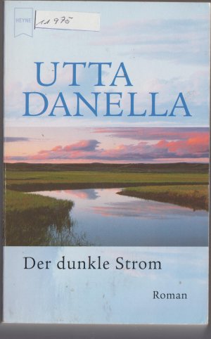 Der dunkle Strom