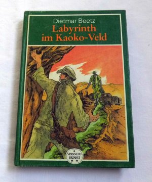 gebrauchtes Buch – Dietmar Beetz – Labyrinth im Kaoko Veld - Spannend Erzählt 194