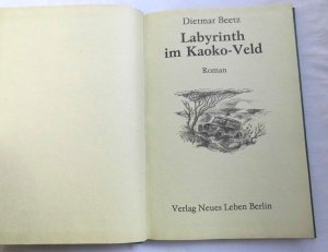 gebrauchtes Buch – Dietmar Beetz – Labyrinth im Kaoko Veld - Spannend Erzählt 194