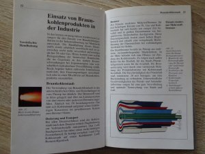 gebrauchtes Buch – Stefan Ueberhorst – Braunkohle für Industrie und Haushalt