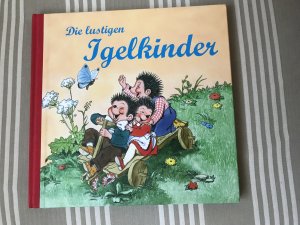 gebrauchtes Buch – Anne Peer – Die lustigen Igelkinder