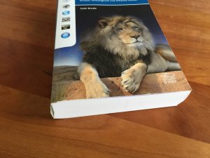 OS X Lion - Einfach, wirkungsvoll und effizient nutzen