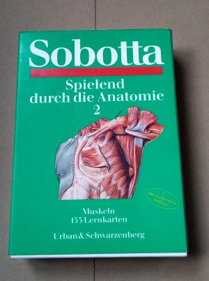 Spielend durch die Anatomie 2 Lernkarten