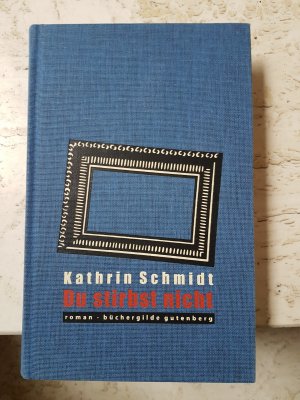 gebrauchtes Buch – Kathrin Schmidt – Du stirbst nicht