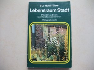 gebrauchtes Buch – Wolfgang Schulte – Lebensraum Stadt