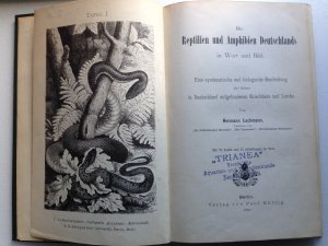 Die Reptilien und Amphibien Deutschlands