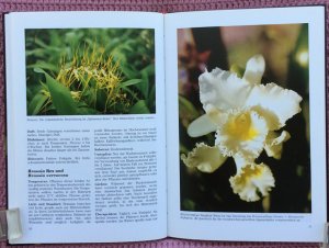 gebrauchtes Buch – Brigitte Goede – Mit Orchideen wohnen • Praxistipps zur Orchideenpflege • Kulturbedingungen von 40 Orchideengattungen, -arten und -hybriden