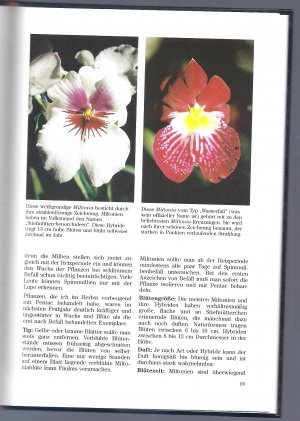 gebrauchtes Buch – Brigitte Goede – Mit Orchideen wohnen Praxistips zur Orchideenpflege