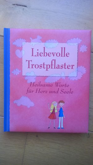 gebrauchtes Buch – Birgit Adam – Liebevolle Trostpflaster