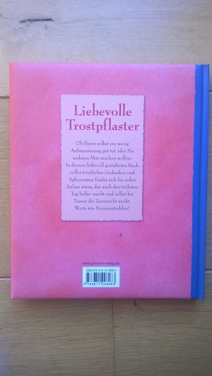 gebrauchtes Buch – Birgit Adam – Liebevolle Trostpflaster