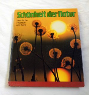 gebrauchtes Buch – Kurt Blüchel – Schönheit der Natur - Heimische Pflanzen und Tiere - Ein erlebnisreicher Streifzug durch Feld, Wald und Flur