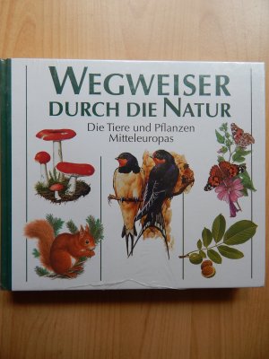 Wegweiser durch die Natur / Die Tiere und Pflanzen Mitteleuropas