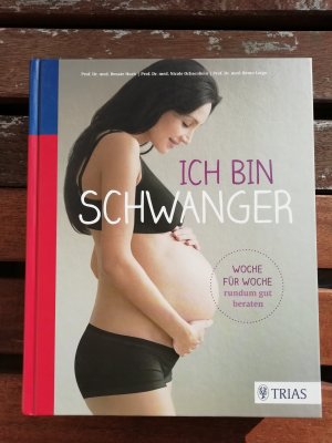 gebrauchtes Buch – Huch, Renate; Ochsenbein-Kölble – Ich bin schwanger - Woche für Woche rundum gut beraten