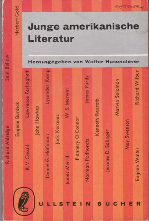 Junge amerikanische Literatur