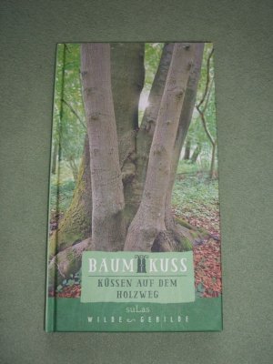 Baumkuss - Küssen auf dem Holzweg mit schönen Baumbildern