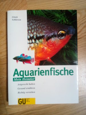 Aquarienfische