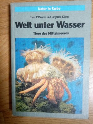 Welt unter Wasser Tiere des Mittelmeeres