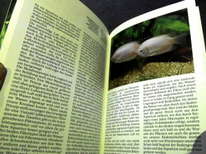 gebrauchtes Buch – Lothar Seegers – Das Aquarium