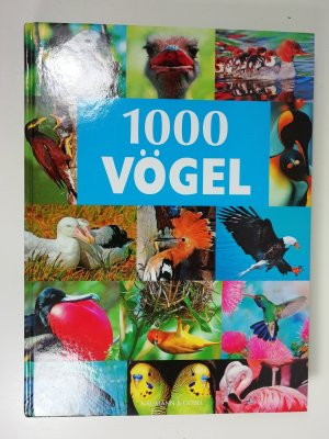 gebrauchtes Buch – Volker Dierschke – 1000 Vögel