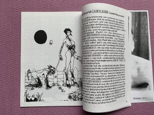 gebrauchtes Buch – Ina Wudtke – Neid #2