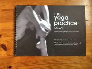 the yoga practice guide