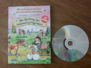 gebrauchtes Spiel – Die Rettung der Wildmoorponyfohlen - Diddl