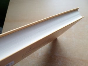 gebrauchtes Buch – Luc Bürgin – Irrtümer der Wissenschaft