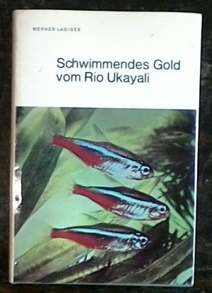 Schwimmendes Gold vom Rio Ukayali