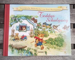 gebrauchtes Buch – Fritz Baumgarten – Teddys Schulgang