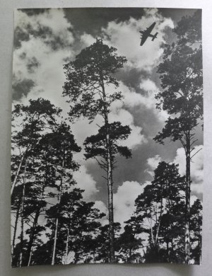 Orig. Foto (Vintage, Gelatinesilber): Junkers Ju-90 in Dessau, 1937.