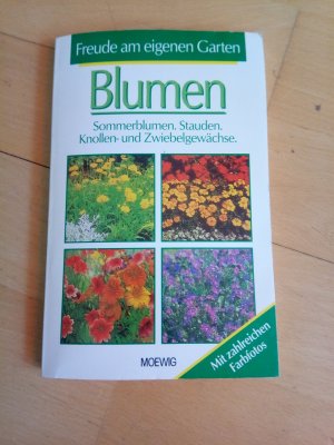 Blumen - Sonnenblumen, Stauden, Knollen- und Zwiebelgewächse.