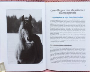 gebrauchtes Buch – Hilke Marx-Holena – Homöopathie für Pferde • Grundlagenwissen Arzneimittelbilder Konstitutionstypen Heilanzeigen