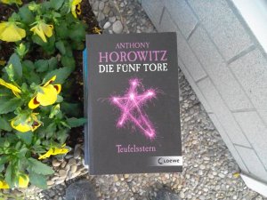 Teufelsstern & Die fünf Tore ( Band 1 und Band 2 ) Thriller