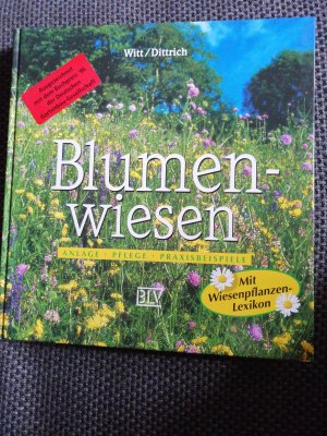 Blumenwiesen