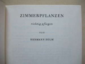 Zimmerpflanzen richtig pflegen