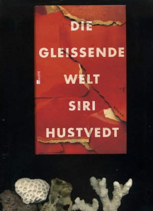 gebrauchtes Buch – Siri Hustvedt – Die gleißende Welt. Aus dem Englischen von  Uli Aumüller.