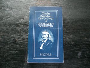 Gesammelte Schriften Band 4 Schriften über Wagner, Poe, E.T.A. Hoffmann, Flaubert, Victor Hugo
