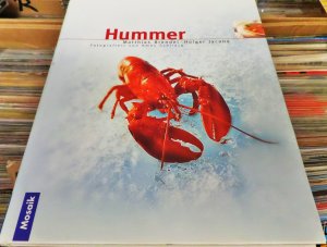 gebrauchtes Buch – Brendel, Matthias; Jacobs – Hummer