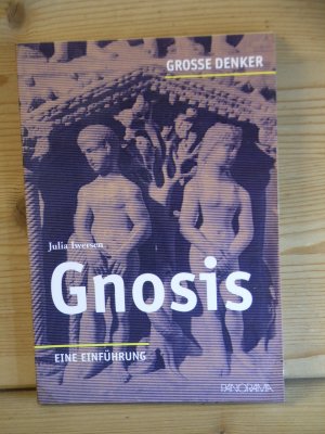 gebrauchtes Buch – Julia Iwersen – "Gnosis" Eine Einführung