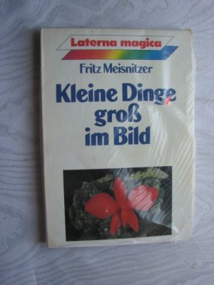 Kleine Dinge gross im Bild