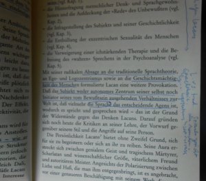 gebrauchtes Buch – Gerda Pagel – Jacques Lacan zur Einführung