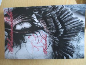 gebrauchtes Buch – Eve L. Fay – Schattenmacht - Seelenblut  Vampir Engel Gestaltwandler Dark Fantasy 1 x gelesen