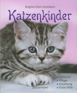 Katzenkinder Aufzucht Pflege Erziehung Erste Hilfe