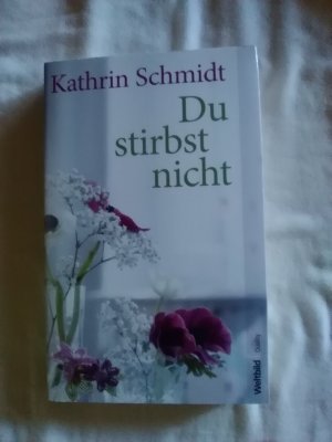 gebrauchtes Buch – Kathrin Schmidt – Du stirbst nicht  ---  neu!