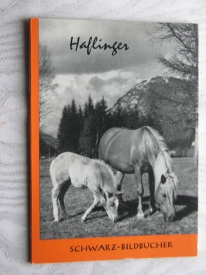 Haflinger. 42 Bildtafeln